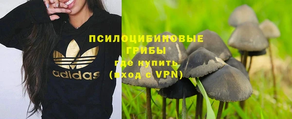 бошки Армянск