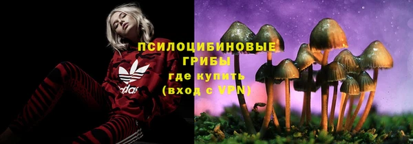 прущий лед Арсеньев