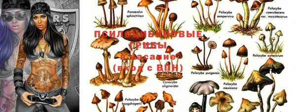 прущий лед Арсеньев
