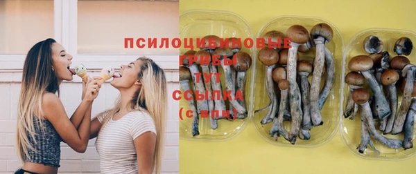 бошки Армянск