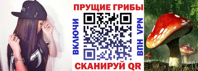 Псилоцибиновые грибы мицелий  Георгиевск 